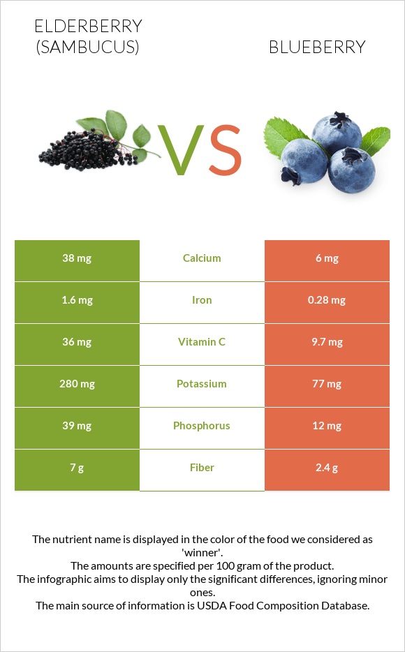 Elderberry vs Կապույտ հապալաս infographic