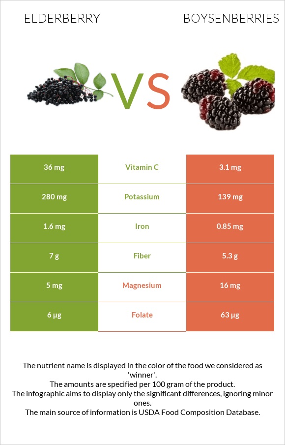 Elderberry vs Boysenberries infographic