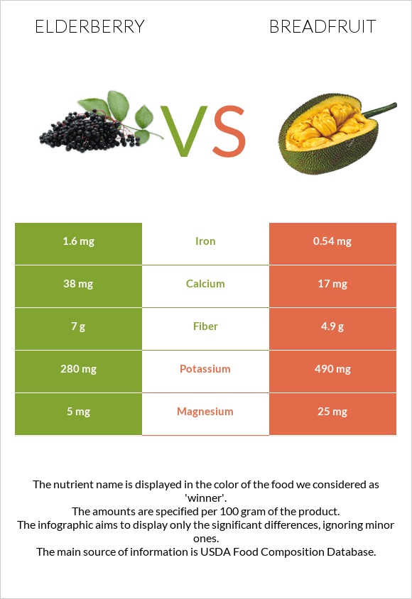 Elderberry vs Breadfruit infographic