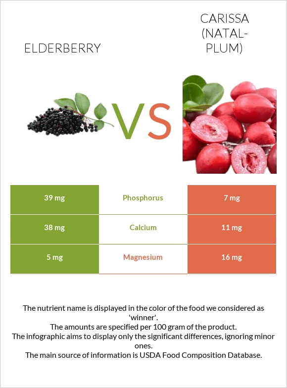 Elderberry vs Carissa (natal-plum) infographic