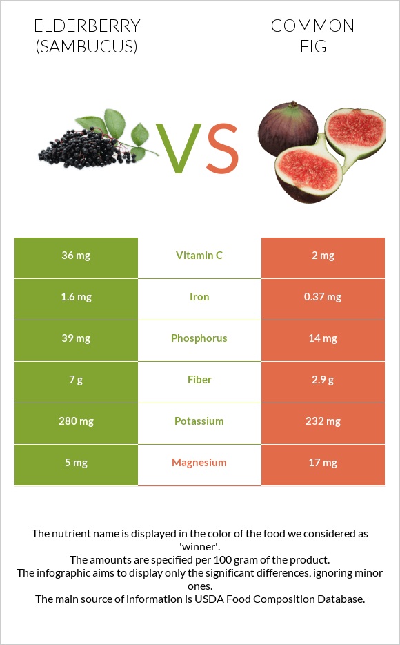 Elderberry vs Թուզ infographic