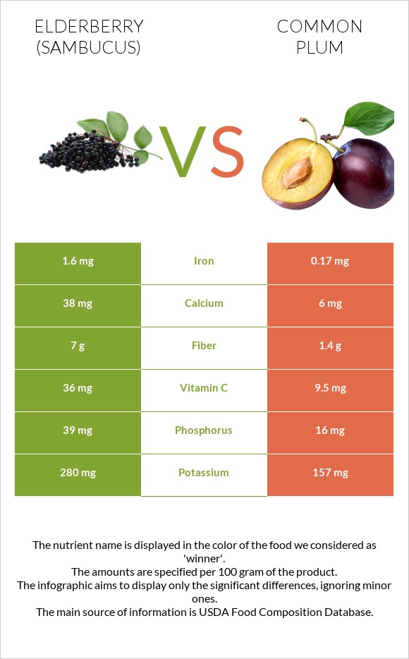 Elderberry vs Սալոր infographic