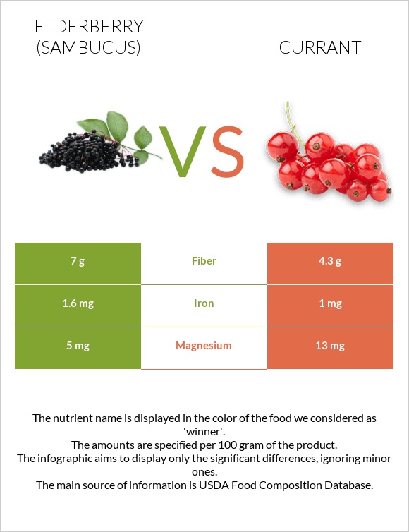 Elderberry vs Currant infographic
