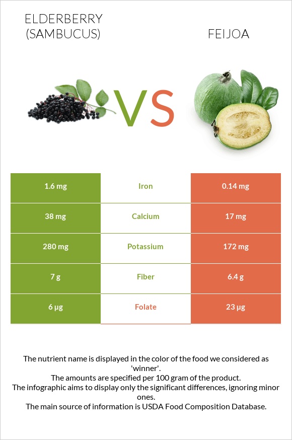 Elderberry vs Ֆեյխոա infographic