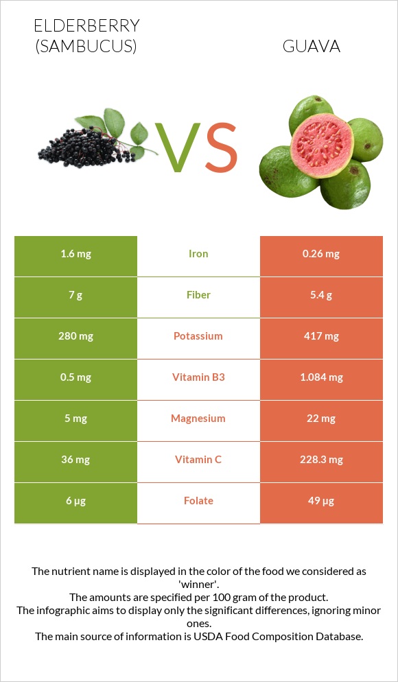 Elderberry vs Գուավա infographic