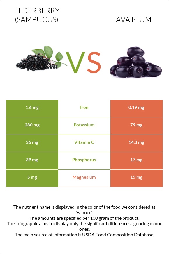 Elderberry vs Java plum infographic