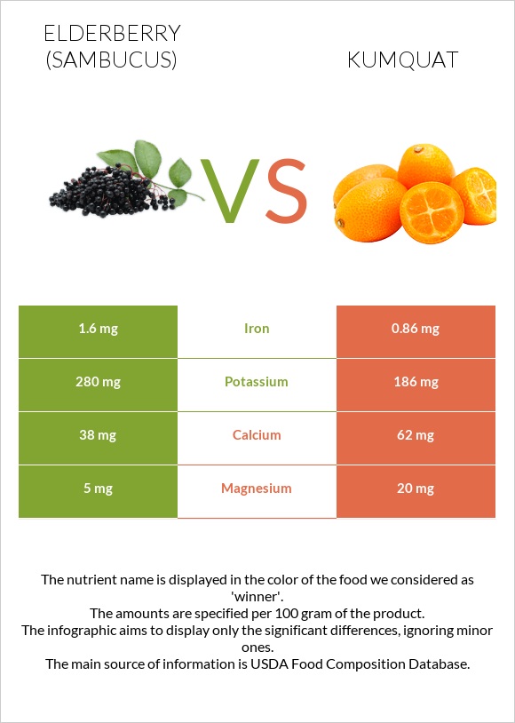 Elderberry vs Kumquat infographic