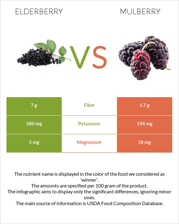Elderberry vs Mulberry infographic