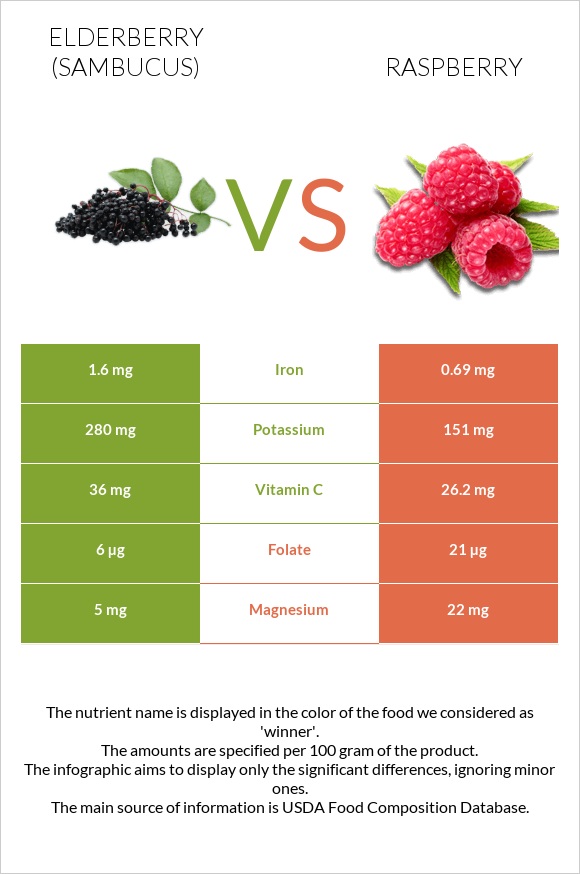 Elderberry vs Ազնվամորի infographic
