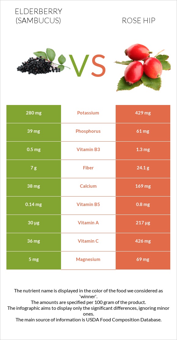 Elderberry vs Rose hip infographic