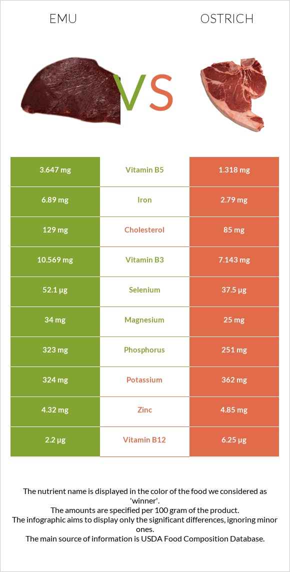 Էմու vs Ջայլամ infographic