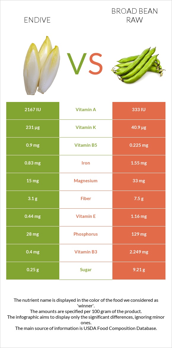 Endive vs Broad bean raw infographic