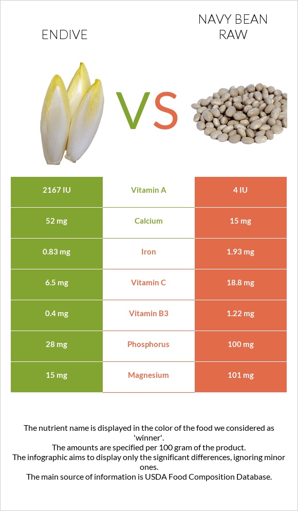 Endive vs Navy bean raw infographic