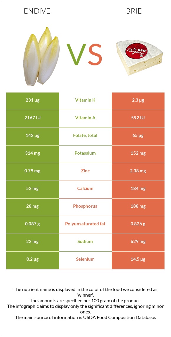 Endive vs Brie infographic