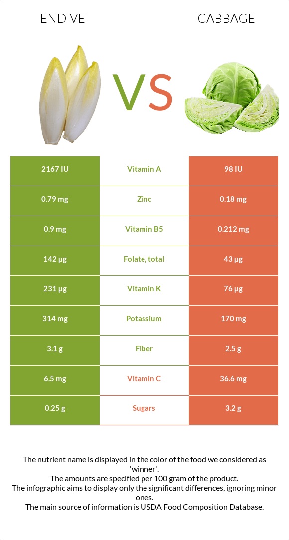 Endive vs Cabbage infographic