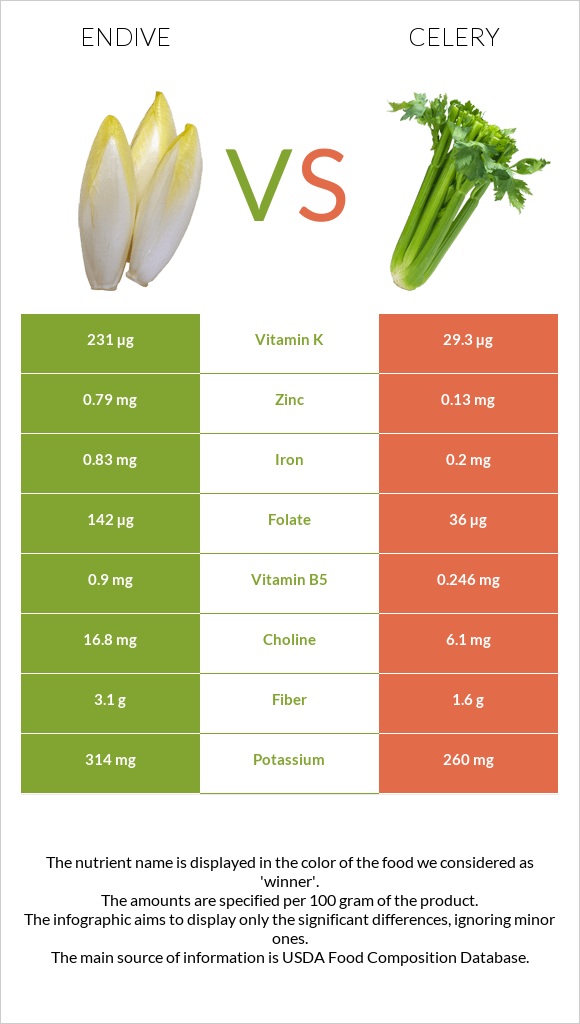 Endive vs Celery infographic