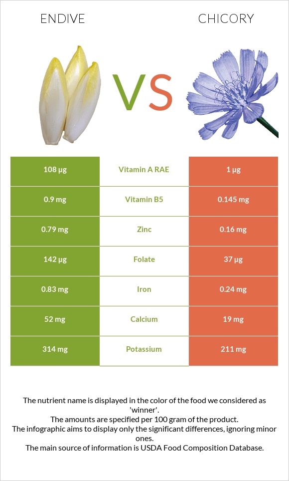 Endive vs Chicory infographic