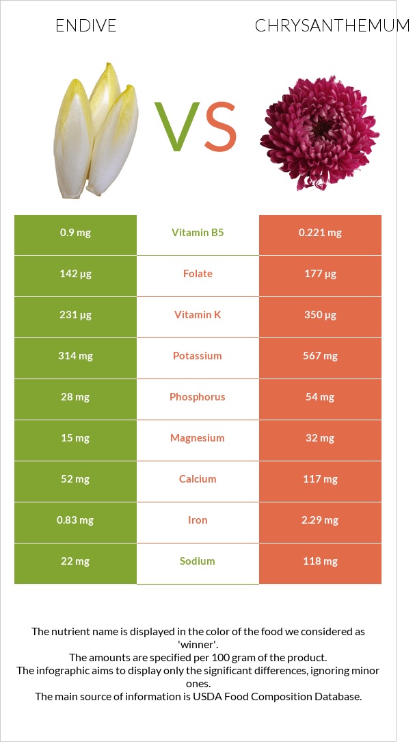 Endive vs Chrysanthemum infographic