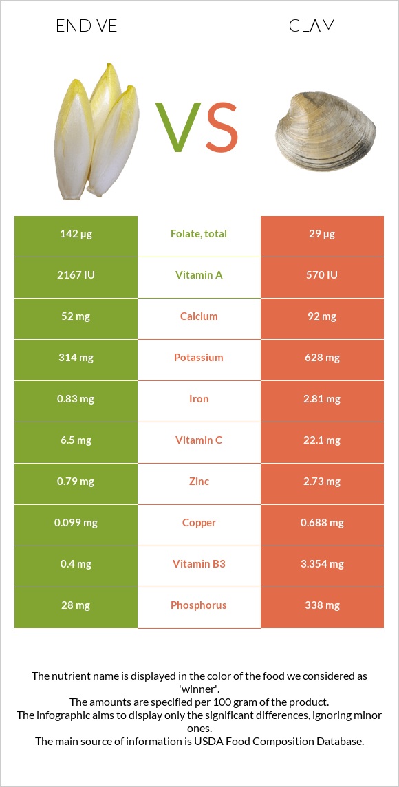 Endive vs Clam infographic