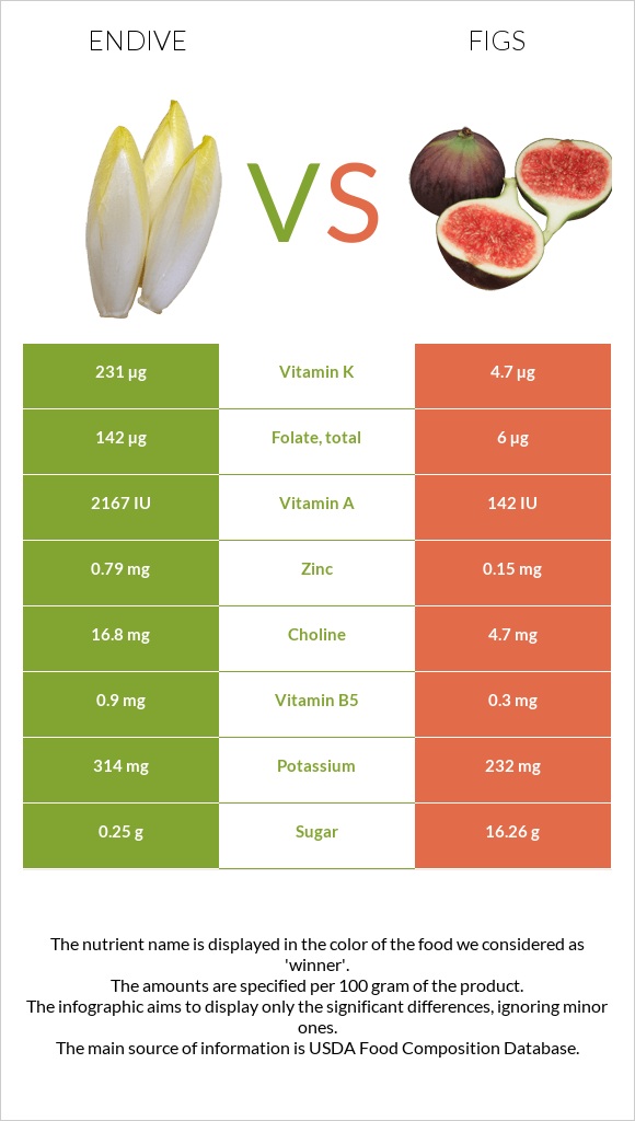 Endive vs Թուզ infographic