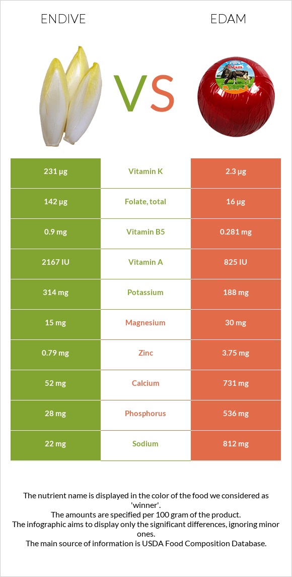 Endive vs Edam infographic