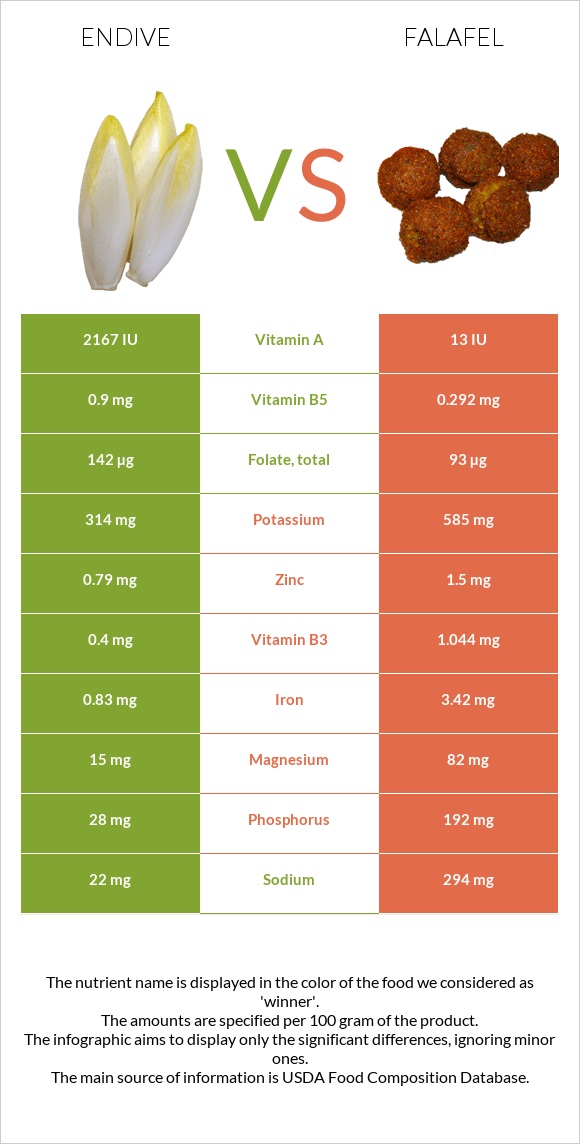 Endive vs Falafel infographic