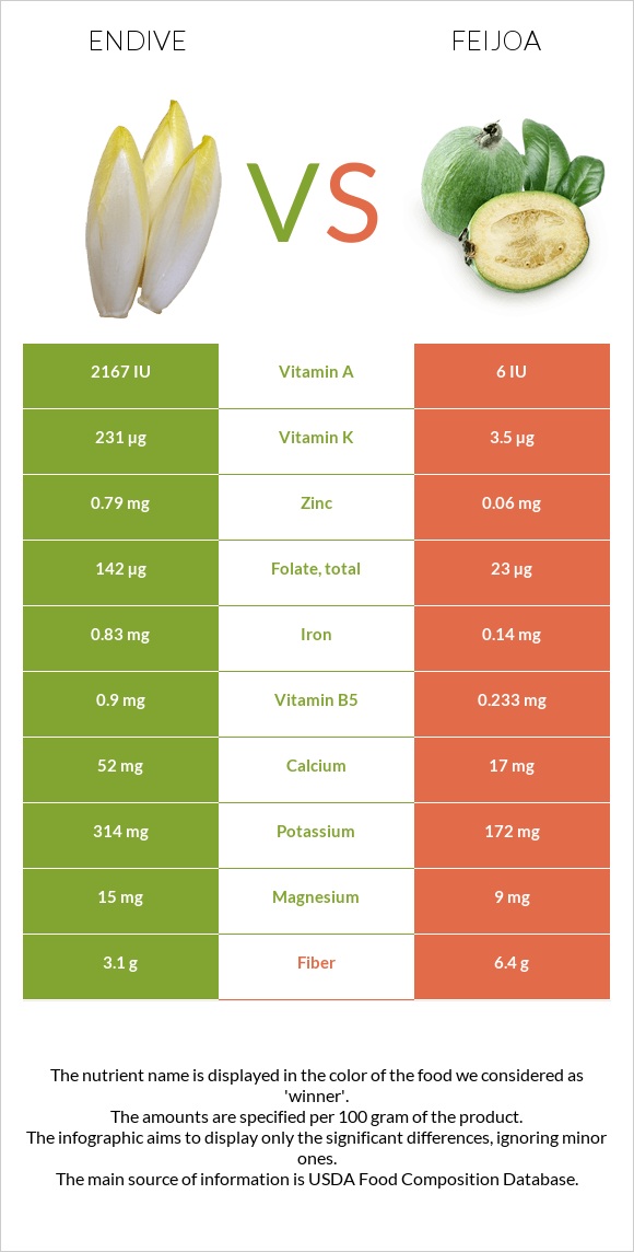 Endive vs Feijoa infographic