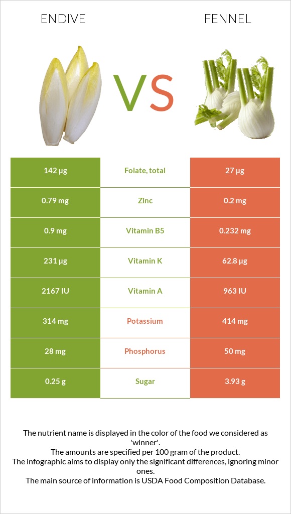 Endive vs Ֆենխել infographic