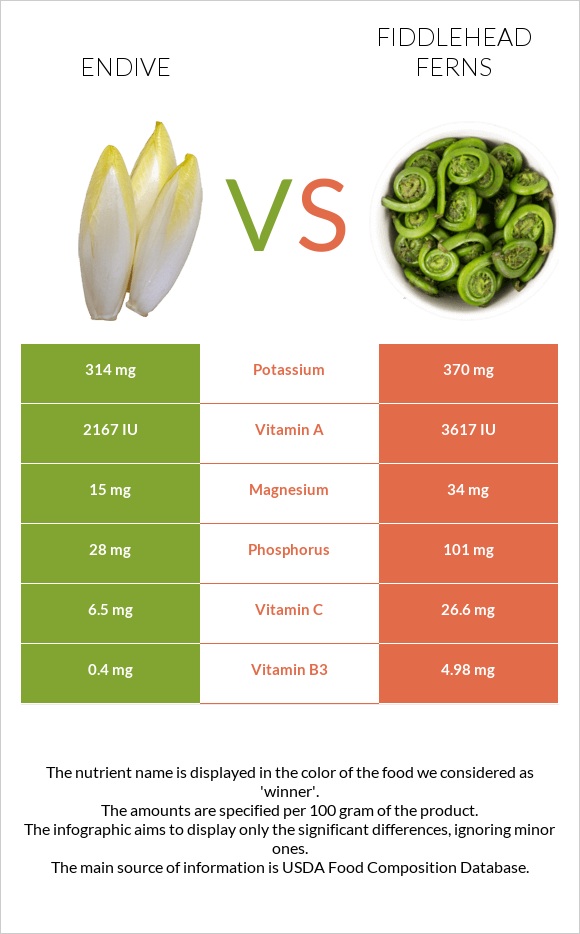 Endive vs Fiddlehead ferns infographic