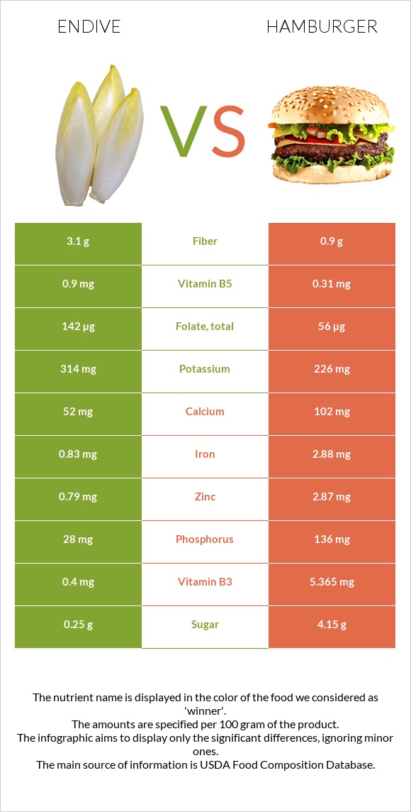 Endive vs Համբուրգեր infographic