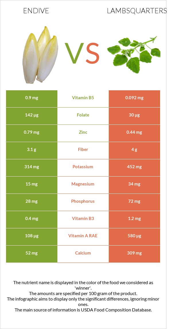 Endive vs Lambsquarters infographic