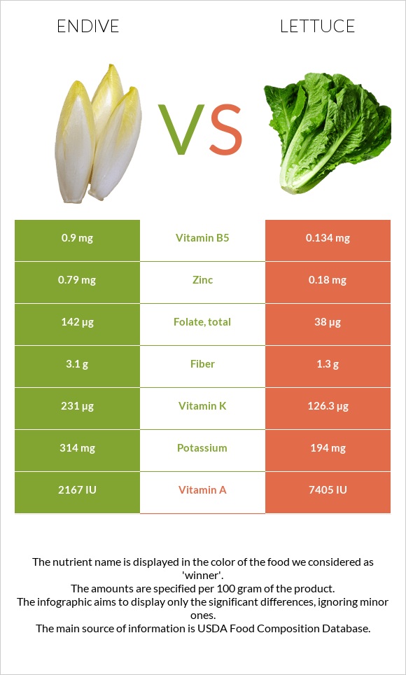 Endive vs Lettuce infographic