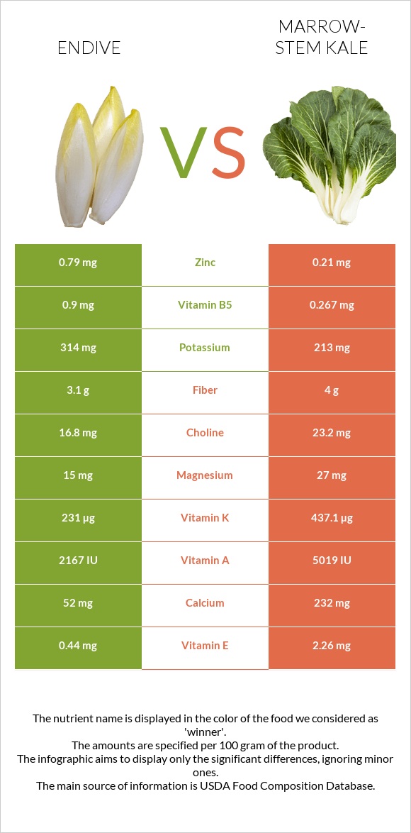 Endive vs Marrow-stem Kale infographic