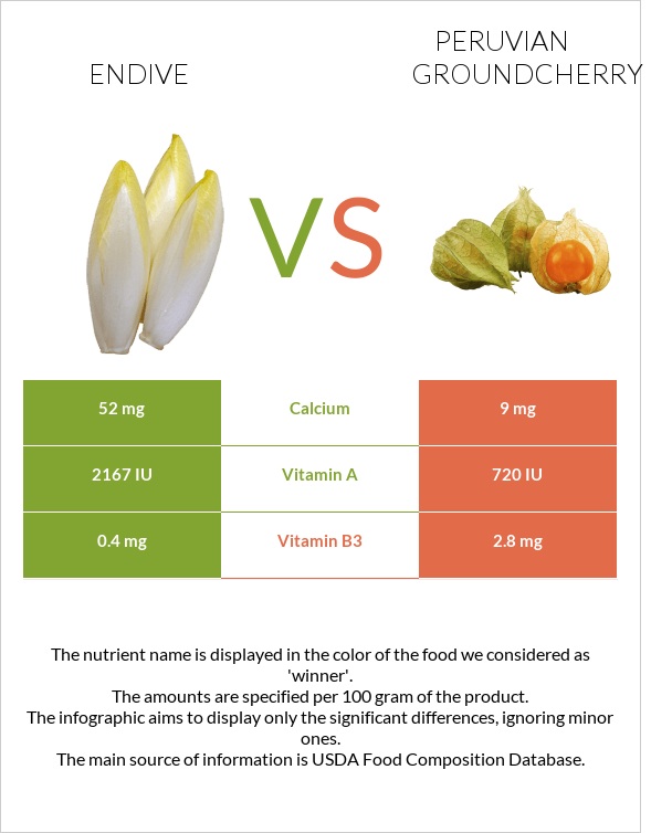 Endive vs Peruvian groundcherry infographic