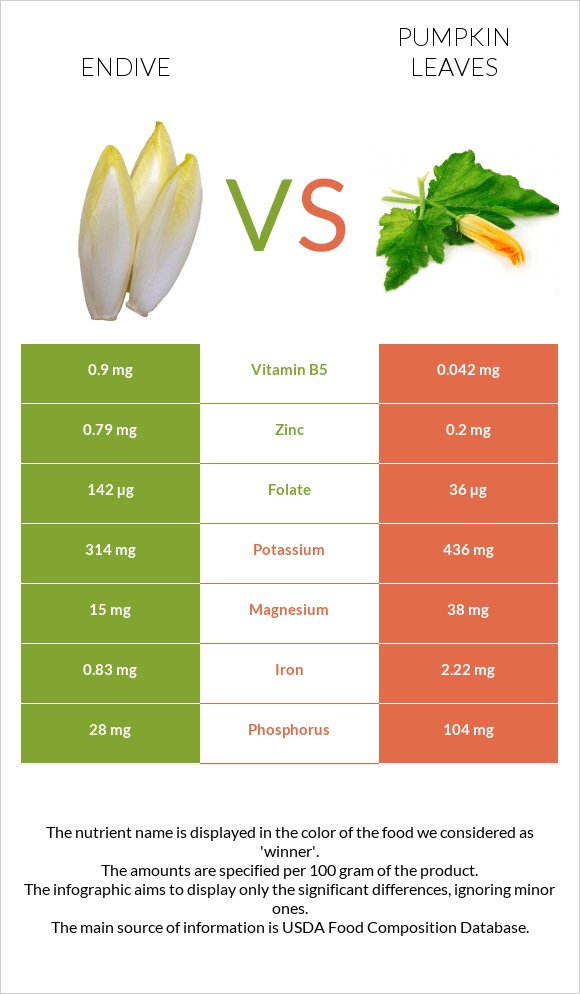 Endive vs Pumpkin leaves infographic