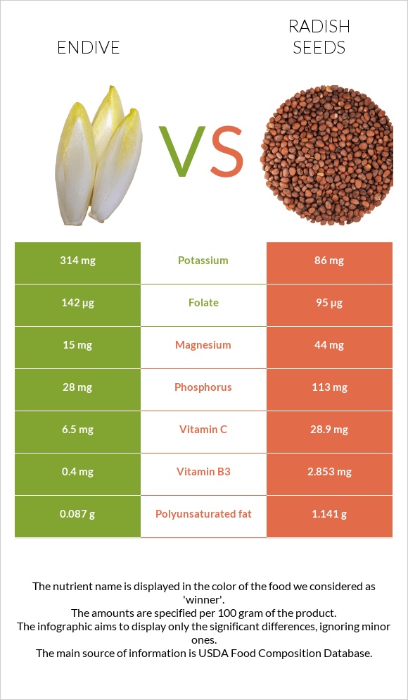 Endive vs Radish seeds infographic