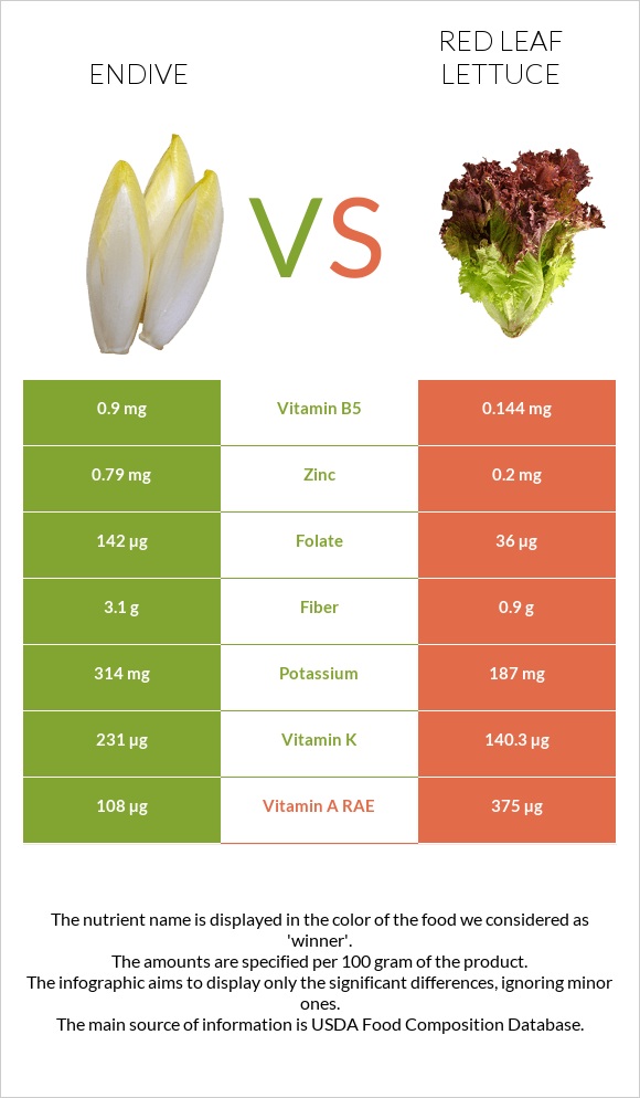 Endive vs Red leaf lettuce infographic