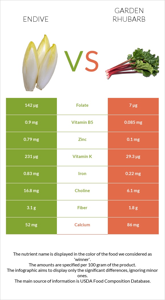 Endive vs Garden rhubarb infographic