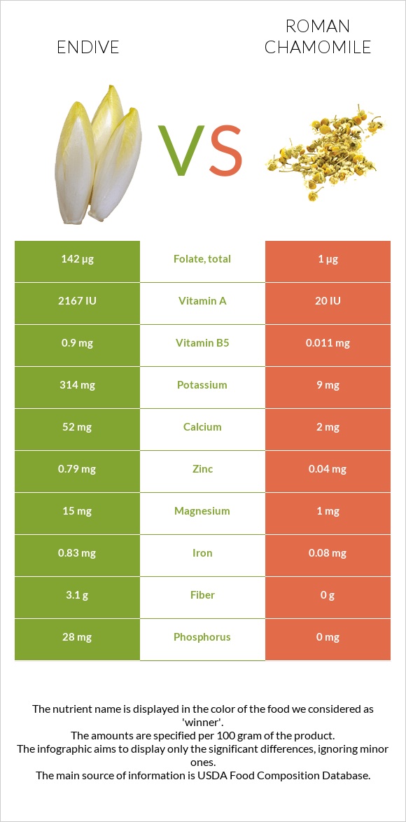 Endive vs Roman chamomile infographic