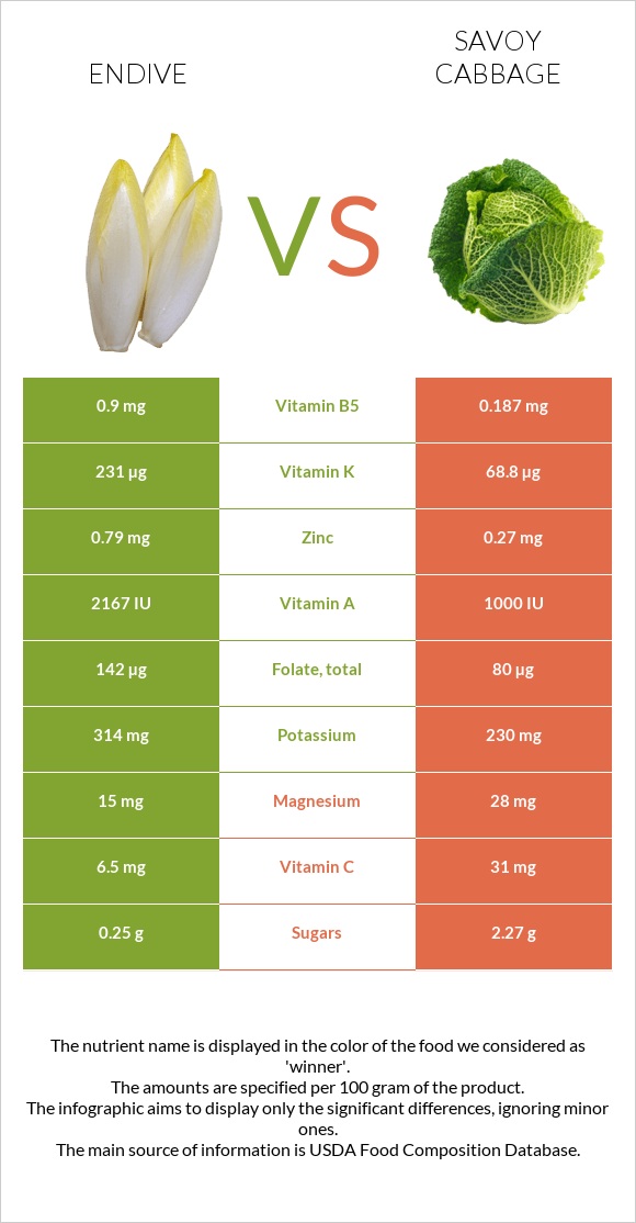 Endive vs Savoy cabbage infographic