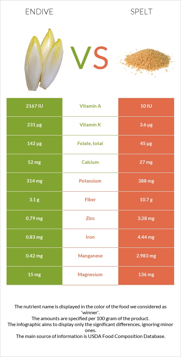 Endive vs Spelt infographic