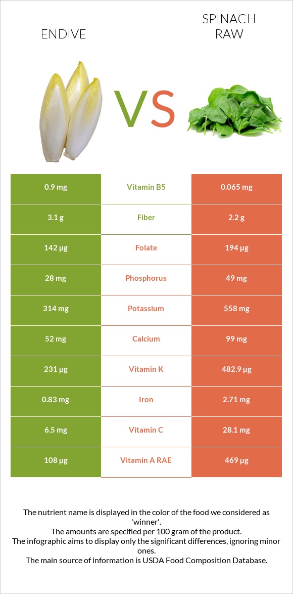 Endive vs Spinach raw infographic