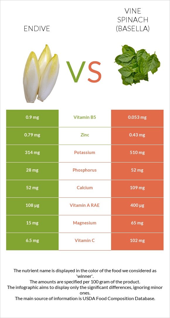 Endive vs Vine spinach (basella) infographic