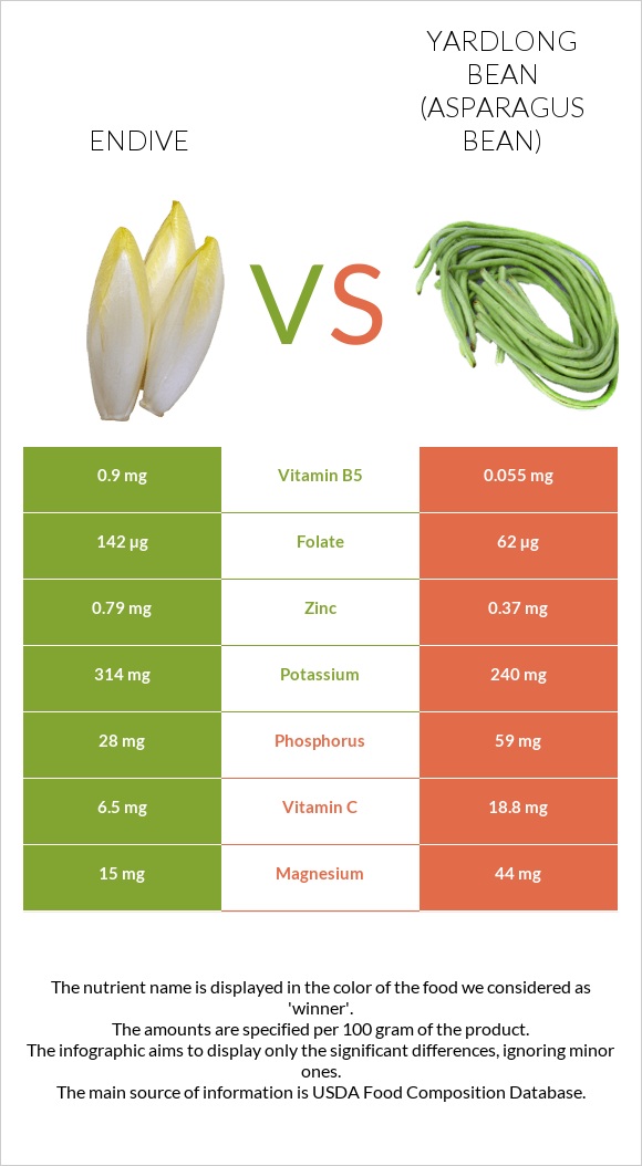 Endive vs Yardlong bean (Asparagus bean) infographic