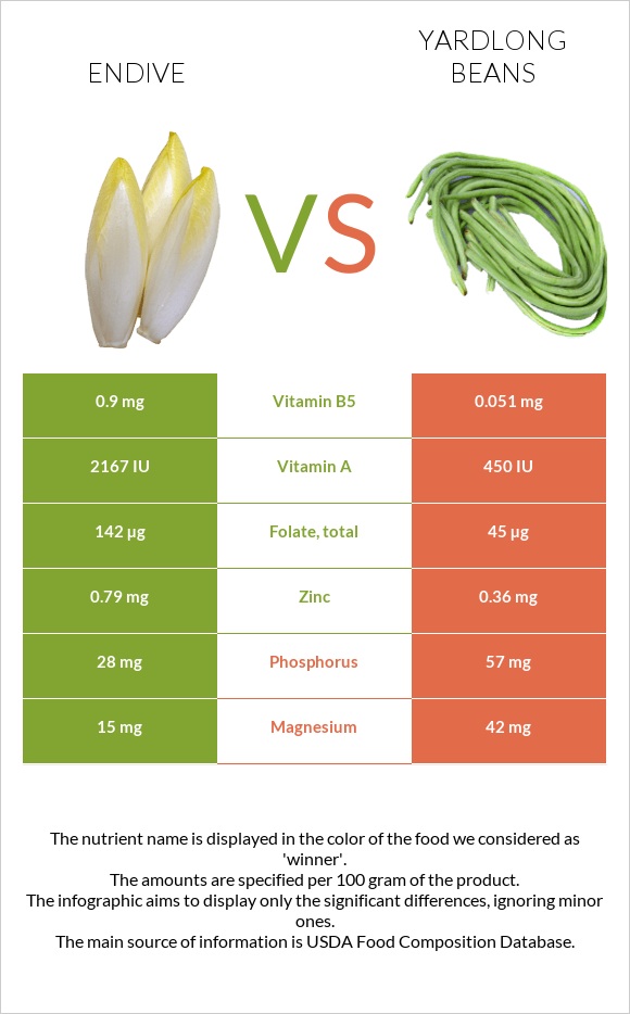 Endive vs Yardlong bean (Asparagus bean) infographic