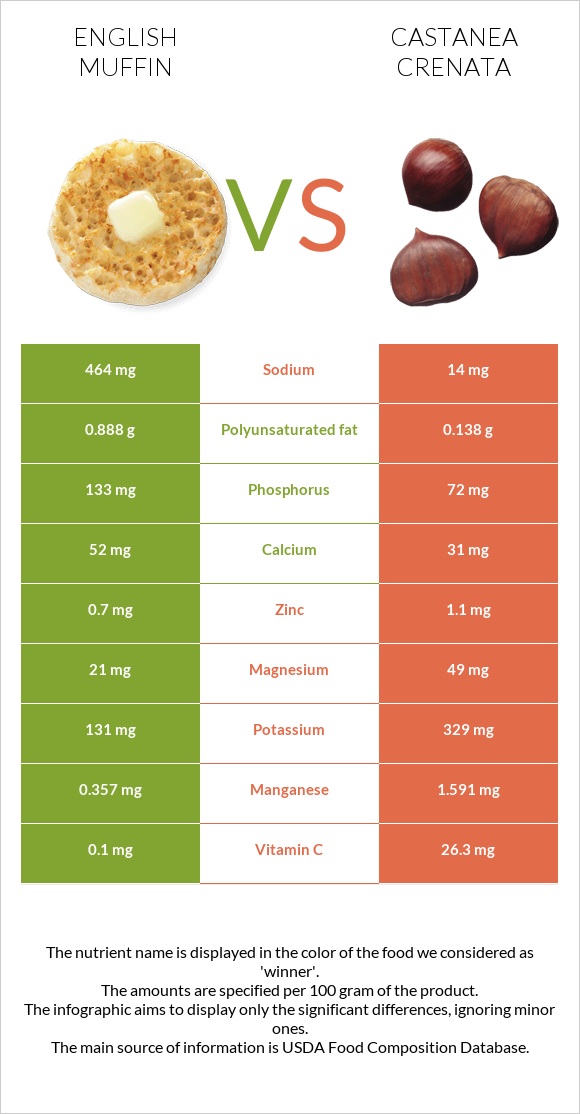 English muffin vs Castanea crenata infographic