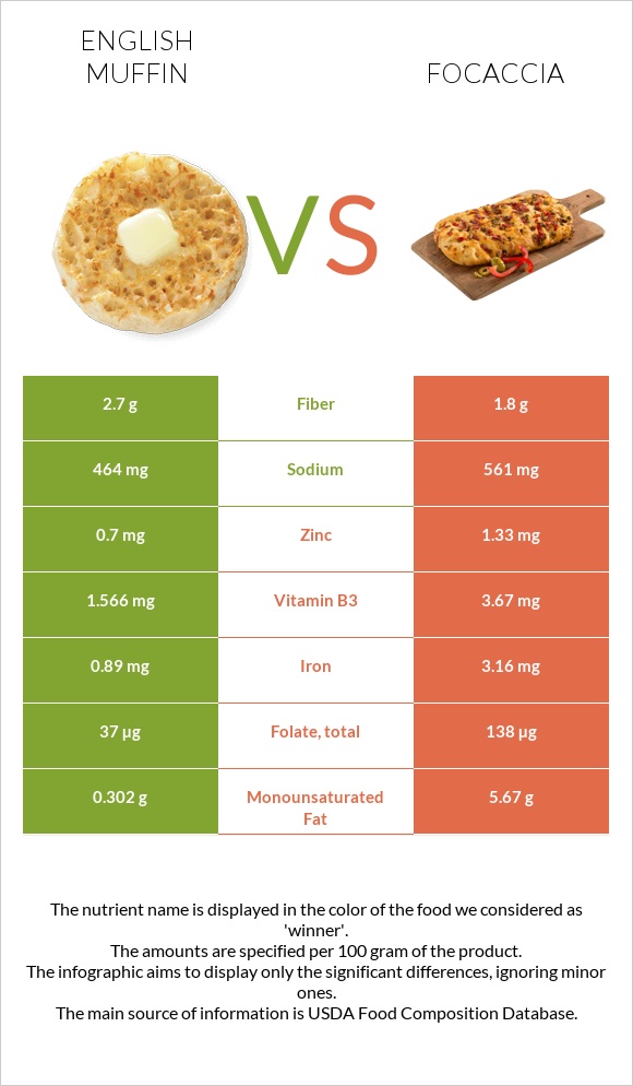 English muffin vs Focaccia infographic