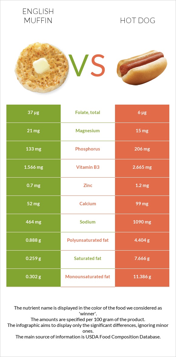 English muffin vs Hot dog infographic