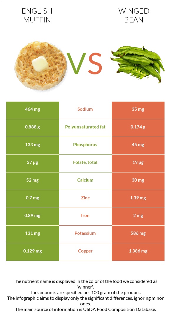 English muffin vs Winged bean infographic