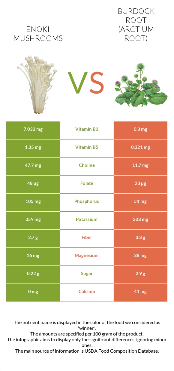Enoki mushrooms vs Կռատուկի արմատ (արկտի արմատ) infographic